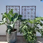 Sabida, Lanzarote *